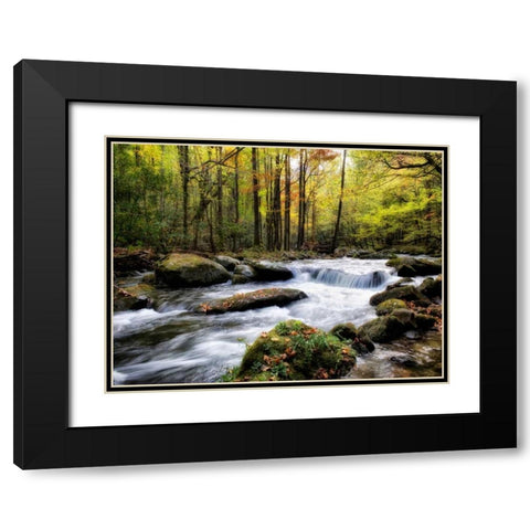 Over Flow II Black Modern Wood Framed Art Print with Double Matting by Head, Danny