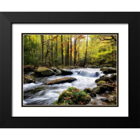 Over Flow II Black Modern Wood Framed Art Print with Double Matting by Head, Danny