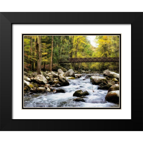 Bridging the Seasons Black Modern Wood Framed Art Print with Double Matting by Head, Danny