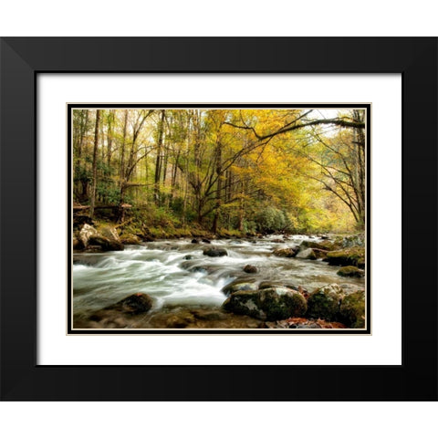 Creekside Black Modern Wood Framed Art Print with Double Matting by Head, Danny