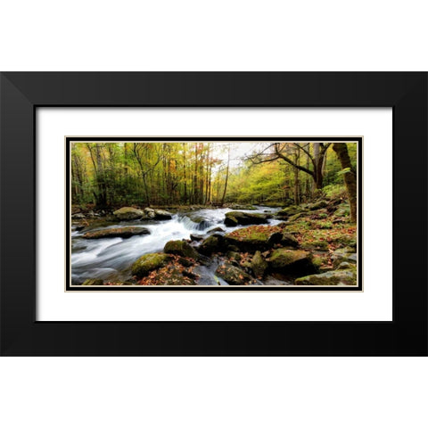 Tremont Panorama II Black Modern Wood Framed Art Print with Double Matting by Head, Danny