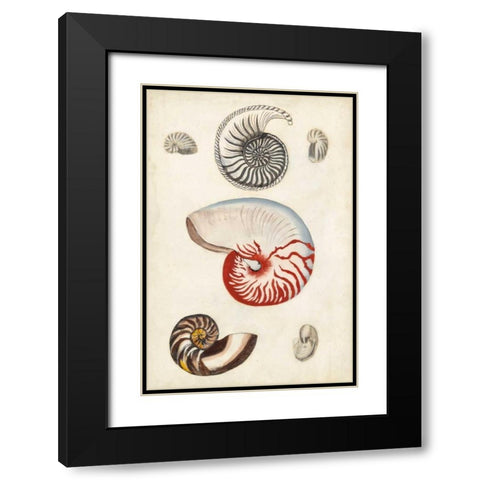 Seashore Field Notes I Black Modern Wood Framed Art Print with Double Matting by McCavitt, Naomi