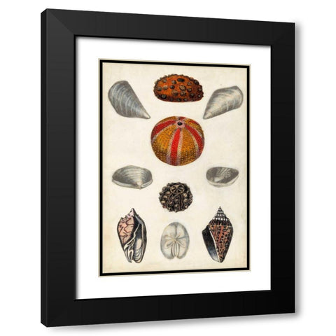 Seashore Field Notes II Black Modern Wood Framed Art Print with Double Matting by McCavitt, Naomi