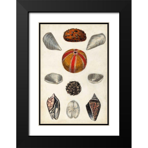 Seashore Field Notes II Black Modern Wood Framed Art Print with Double Matting by McCavitt, Naomi