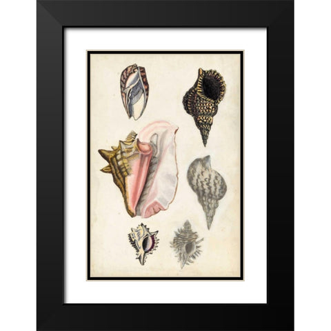 Seashore Field Notes III Black Modern Wood Framed Art Print with Double Matting by McCavitt, Naomi