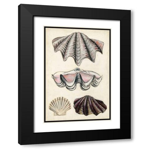 Seashore Field Notes IV Black Modern Wood Framed Art Print with Double Matting by McCavitt, Naomi
