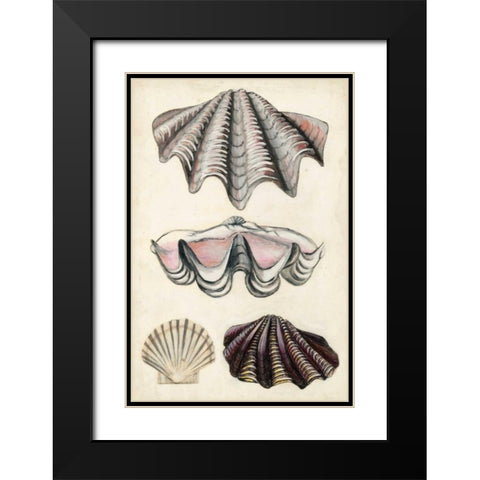 Seashore Field Notes IV Black Modern Wood Framed Art Print with Double Matting by McCavitt, Naomi