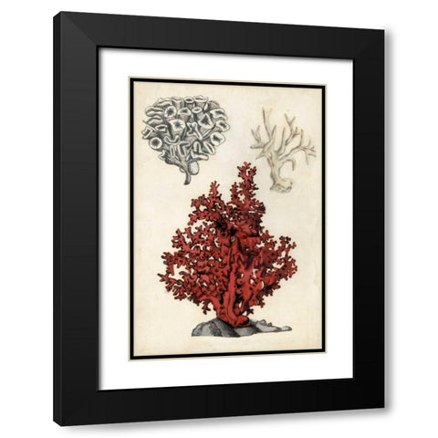 Seashore Field Notes V Black Modern Wood Framed Art Print with Double Matting by McCavitt, Naomi