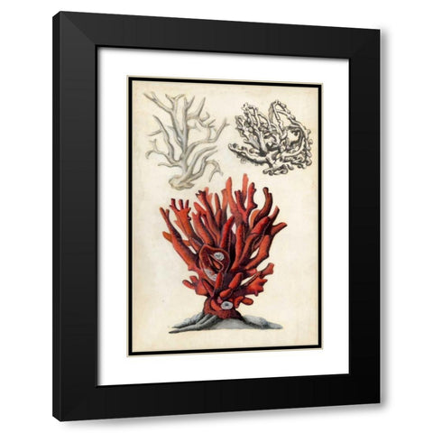 Seashore Field Notes VI Black Modern Wood Framed Art Print with Double Matting by McCavitt, Naomi