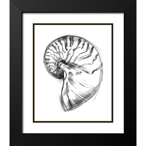 UA CH Shell Sketch IV Black Modern Wood Framed Art Print with Double Matting by Harper, Ethan