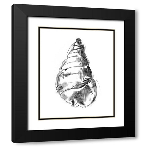 UA CH Shell Sketch V Black Modern Wood Framed Art Print with Double Matting by Harper, Ethan