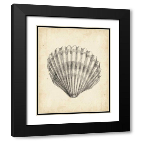 Antique Shell Study III Black Modern Wood Framed Art Print with Double Matting by Harper, Ethan