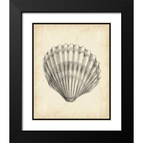 Antique Shell Study III Black Modern Wood Framed Art Print with Double Matting by Harper, Ethan