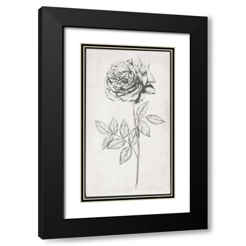 Single Stem II Black Modern Wood Framed Art Print with Double Matting by Goldberger, Jennifer