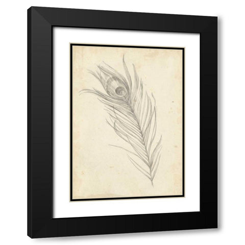 Peacock Feather Sketch I Black Modern Wood Framed Art Print with Double Matting by Harper, Ethan