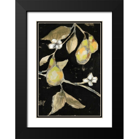 Fresh Pears II Black Modern Wood Framed Art Print with Double Matting by Goldberger, Jennifer