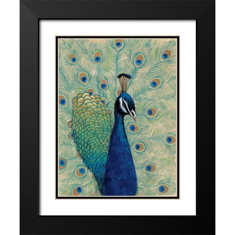 Blue Peacock I Black Modern Wood Framed Art Print with Double Matting by OToole, Tim