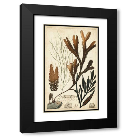 Turpin Seaweed I Black Modern Wood Framed Art Print with Double Matting by Turpin