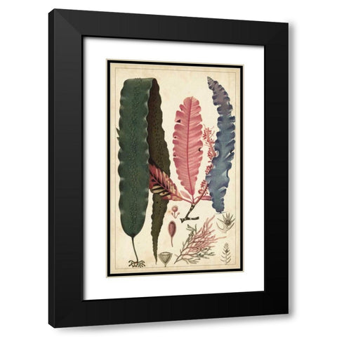 Turpin Seaweed II Black Modern Wood Framed Art Print with Double Matting by Turpin