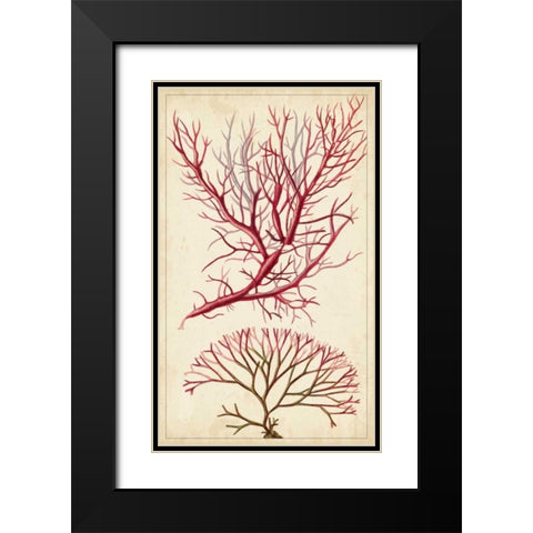Turpin Seaweed V Black Modern Wood Framed Art Print with Double Matting by Turpin