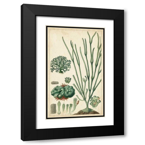Turpin Seaweed VI Black Modern Wood Framed Art Print with Double Matting by Turpin