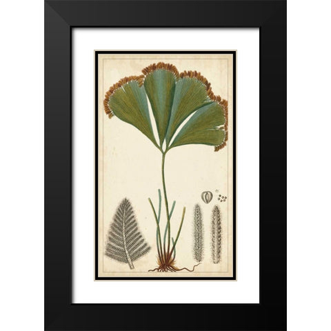 Foliage Botanique I Black Modern Wood Framed Art Print with Double Matting by Turpin