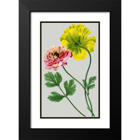 Vintage Garden Varieties I Black Modern Wood Framed Art Print with Double Matting by Vision Studio