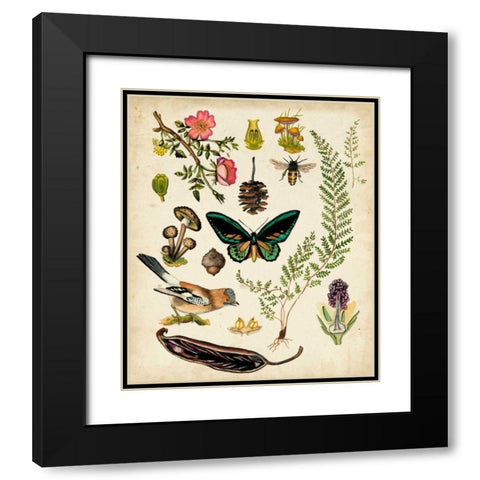 A Walk in the Forest II Black Modern Wood Framed Art Print with Double Matting by McCavitt, Naomi