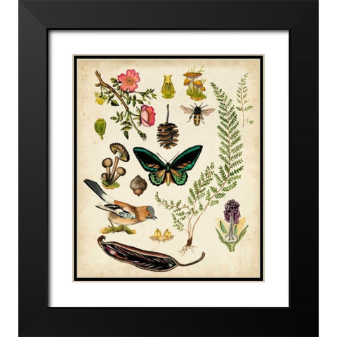 A Walk in the Forest II Black Modern Wood Framed Art Print with Double Matting by McCavitt, Naomi