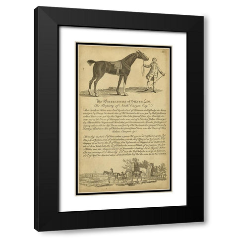 Horse Portraiture I Black Modern Wood Framed Art Print with Double Matting by Unknown