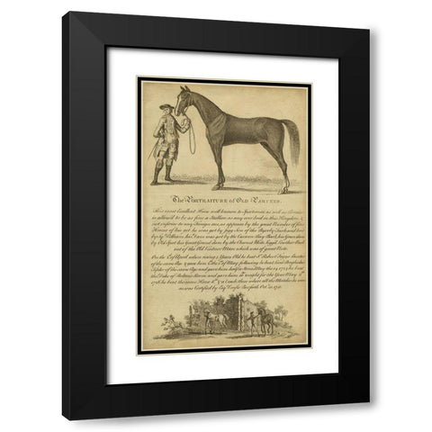 Horse Portraiture II Black Modern Wood Framed Art Print with Double Matting by Unknown