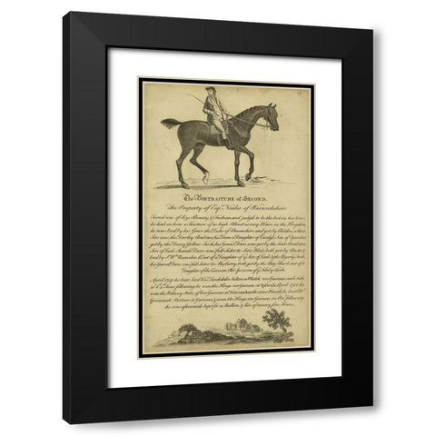 Horse Portraiture V Black Modern Wood Framed Art Print with Double Matting by Unknown