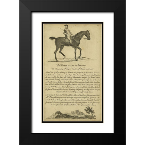 Horse Portraiture V Black Modern Wood Framed Art Print with Double Matting by Unknown