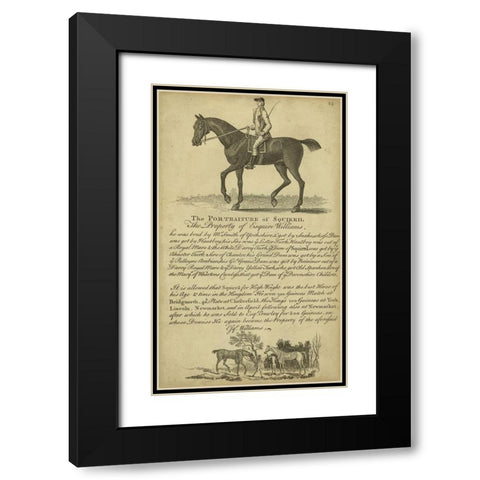 Horse Portraiture VI Black Modern Wood Framed Art Print with Double Matting by Unknown