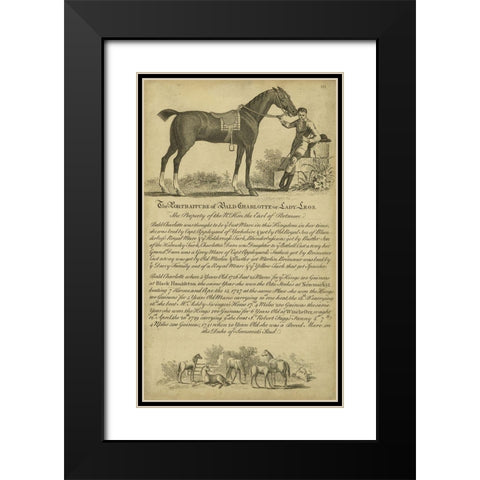 Horse Portraiture VII Black Modern Wood Framed Art Print with Double Matting by Unknown
