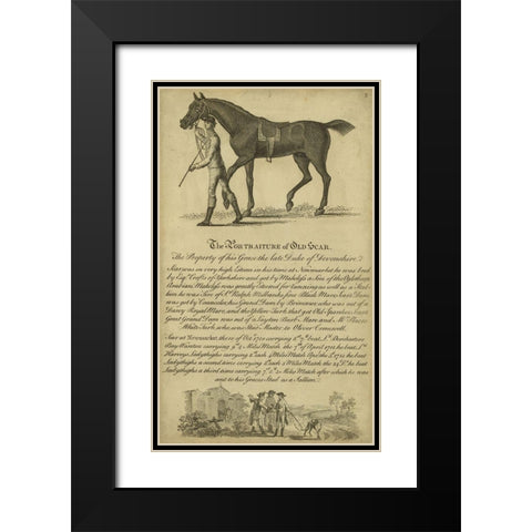 Horse Portraiture VIII Black Modern Wood Framed Art Print with Double Matting by Unknown