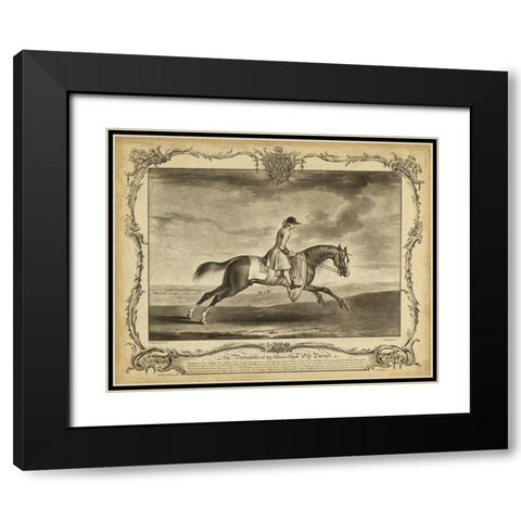 Distinguished Horses I Black Modern Wood Framed Art Print with Double Matting by Unknown