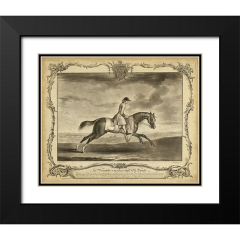 Distinguished Horses I Black Modern Wood Framed Art Print with Double Matting by Unknown