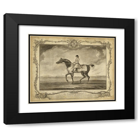 Distinguished Horses II Black Modern Wood Framed Art Print with Double Matting by Unknown