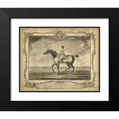 Distinguished Horses II Black Modern Wood Framed Art Print with Double Matting by Unknown