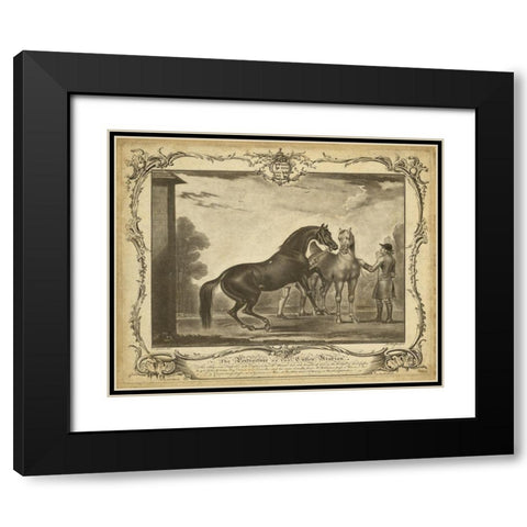 Distinguished Horses III Black Modern Wood Framed Art Print with Double Matting by Unknown