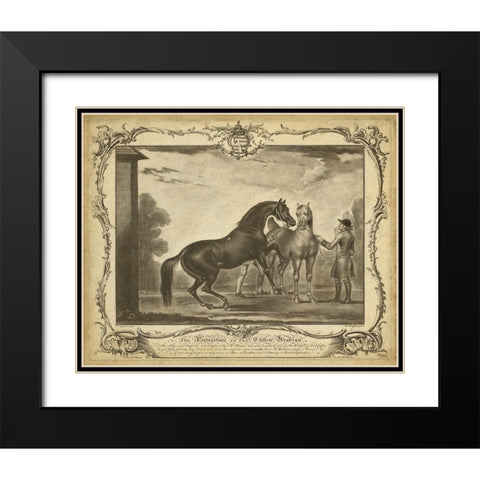 Distinguished Horses III Black Modern Wood Framed Art Print with Double Matting by Unknown