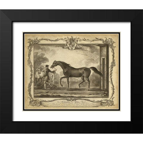 Distinguished Horses IV Black Modern Wood Framed Art Print with Double Matting by Unknown
