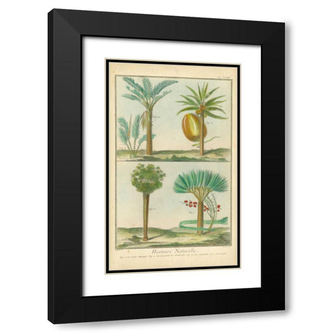 Histoire Naturelle Tropicals I Black Modern Wood Framed Art Print with Double Matting by Martinet