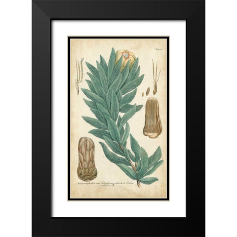 Weinmann Conifers I Black Modern Wood Framed Art Print with Double Matting by Weinmann