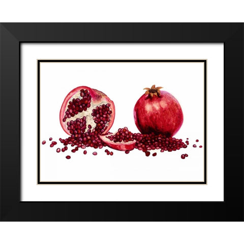 Watercolor Pomegranate Black Modern Wood Framed Art Print with Double Matting by Willett, Michael