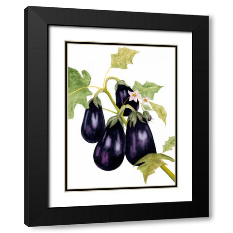 Watercolor Eggplant Black Modern Wood Framed Art Print with Double Matting by Willett, Michael