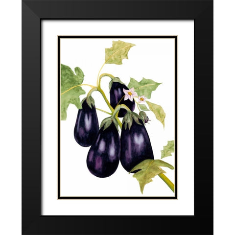 Watercolor Eggplant Black Modern Wood Framed Art Print with Double Matting by Willett, Michael