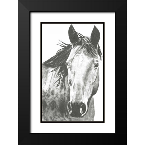 Wildlife Snapshot- Horse I Black Modern Wood Framed Art Print with Double Matting by McCavitt, Naomi