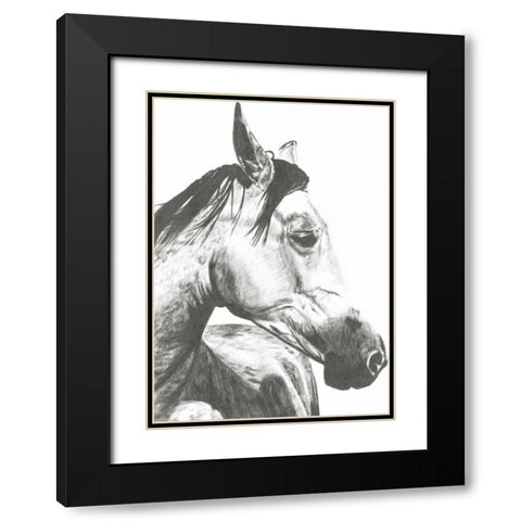 Wildlife Snapshot- Horse II Black Modern Wood Framed Art Print with Double Matting by McCavitt, Naomi